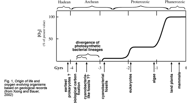 Fig. 1, Origin of life and oxygen evolving organisms based on geological records (from Xiong and Bauer, 2002)